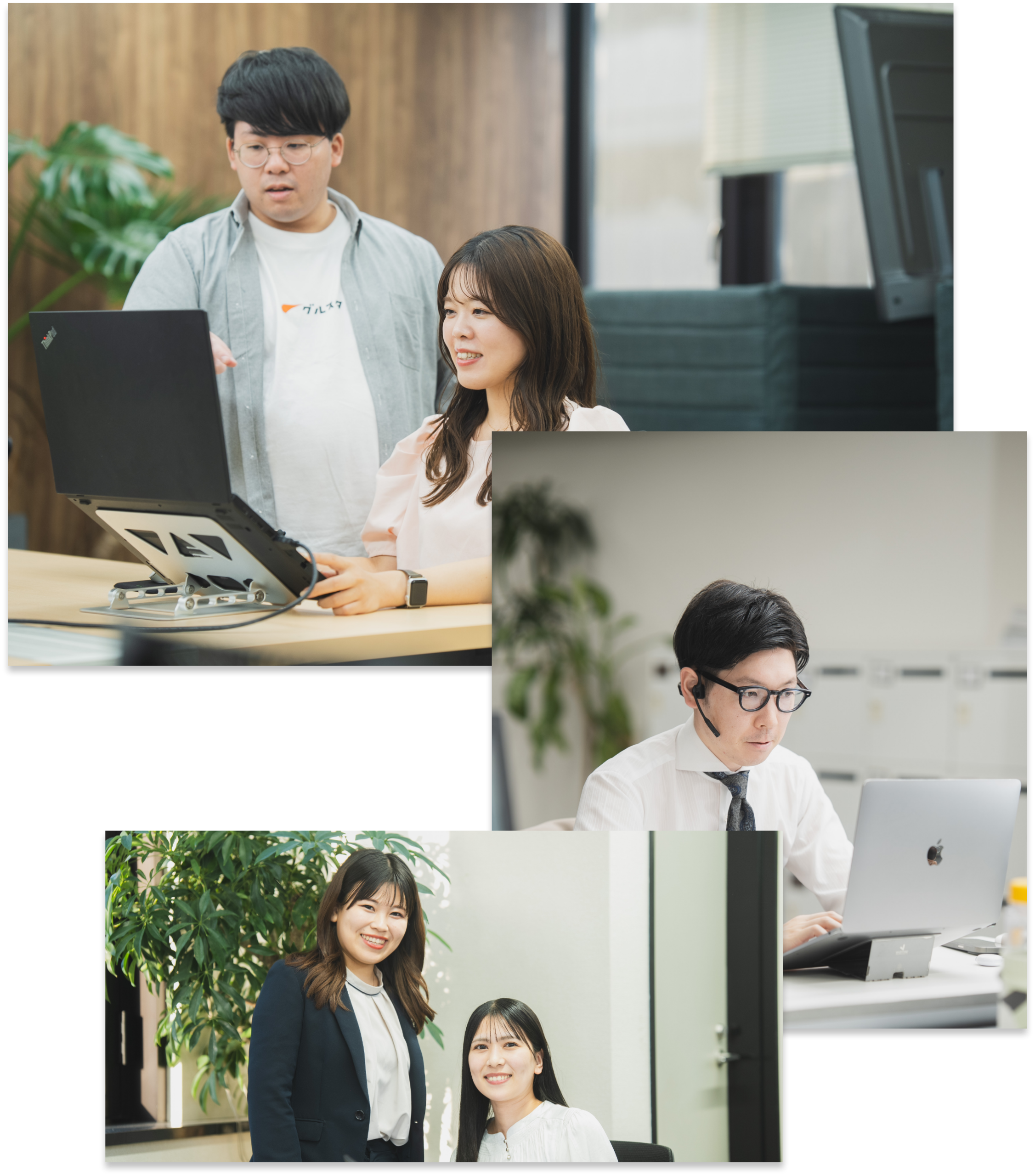 採用情報